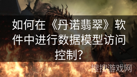 如何在《丹诺翡翠》软件中进行数据模型访问控制？