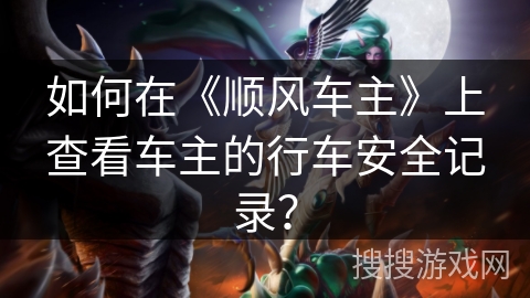 如何在《顺风车主》上查看车主的行车安全记录？