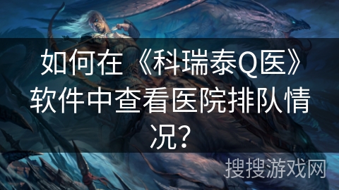 如何在《科瑞泰Q医》软件中查看医院排队情况？