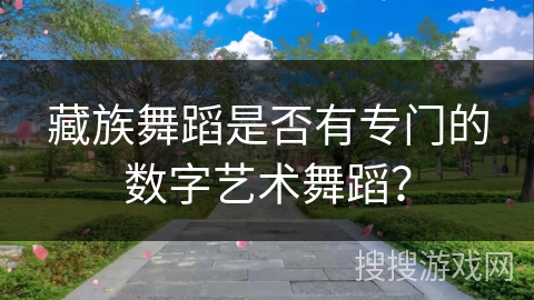 藏族舞蹈是否有专门的数字艺术舞蹈？