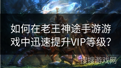 如何在老王神途手游游戏中迅速提升VIP等级？