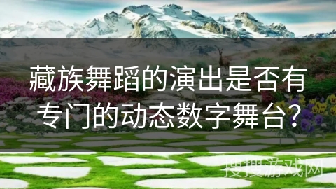 藏族舞蹈的演出是否有专门的动态数字舞台？