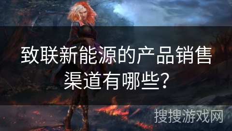 致联新能源的产品销售渠道有哪些？