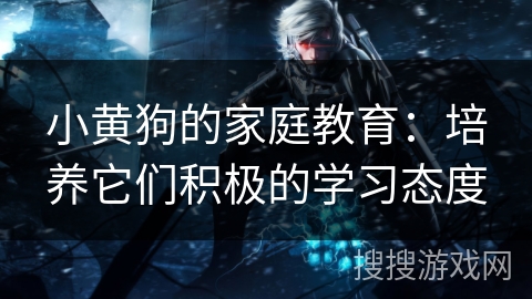 小黄狗的家庭教育：培养它们积极的学习态度