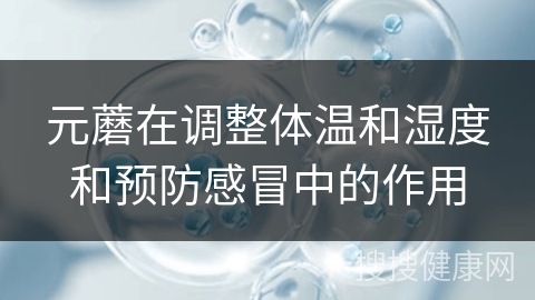 元蘑在调整体温和湿度和预防感冒中的作用