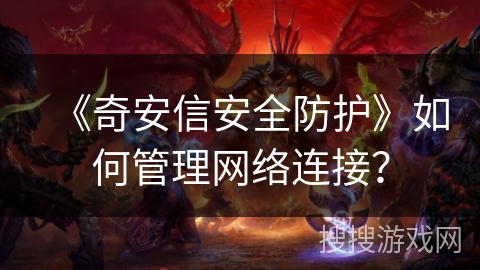 《奇安信安全防护》如何管理网络连接？