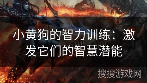 小黄狗的智力训练:激发它们的智慧潜能 小黄狗的智力训练:激发它们的智慧潜能