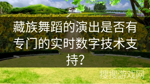 藏族舞蹈的演出是否有专门的实时数字技术支持？