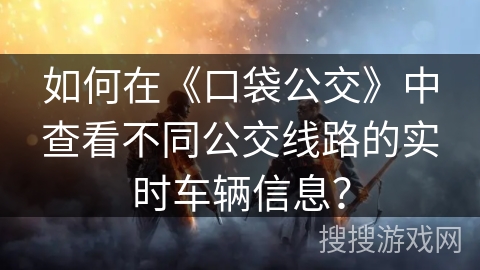 如何在《口袋公交》中查看不同公交线路的实时车辆信息？