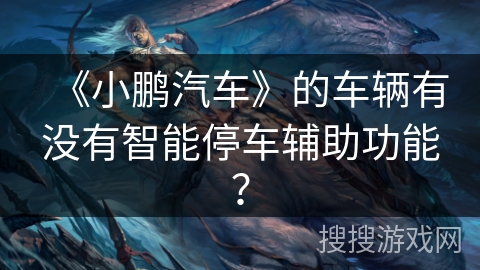 《小鹏汽车》的车辆有没有智能停车辅助功能？