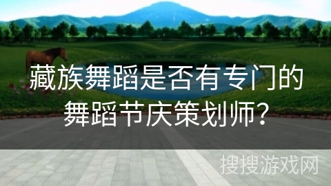 藏族舞蹈是否有专门的舞蹈节庆策划师？