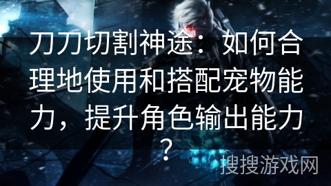 刀刀切割神途：如何合理地使用和搭配宠物能力，提升角色输出能力？