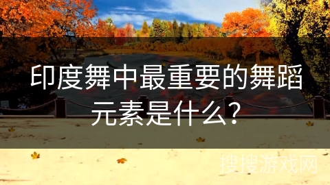 印度舞中最重要的舞蹈元素是什么？