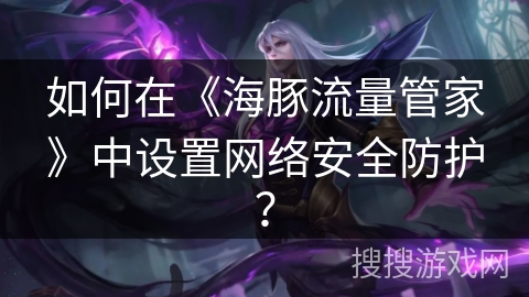 如何在《海豚流量管家》中设置网络安全防护？