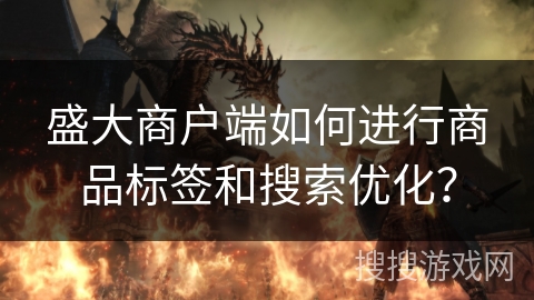 盛大商户端如何进行商品标签和搜索优化？