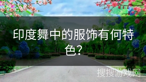 印度舞中的服饰有何特色？