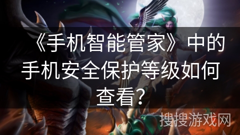 《手机智能管家》中的手机安全保护等级如何查看？