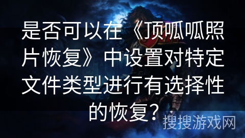 是否可以在《顶呱呱照片恢复》中设置对特定文件类型进行有选择性的恢复？