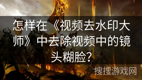 怎样在《视频去水印大师》中去除视频中的镜头糊脸？