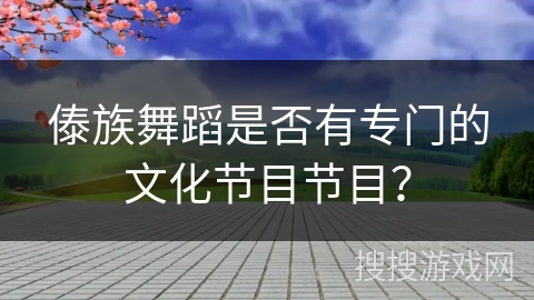 傣族舞蹈是否有专门的文化节目节目？