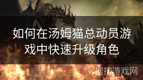 如何在汤姆猫总动员游戏中快速升级角色