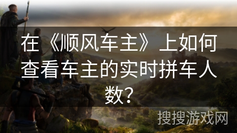 在《顺风车主》上如何查看车主的实时拼车人数？