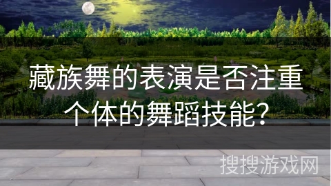 藏族舞的表演是否注重个体的舞蹈技能？