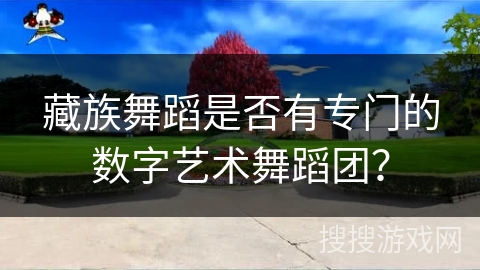 藏族舞蹈是否有专门的数字艺术舞蹈团？