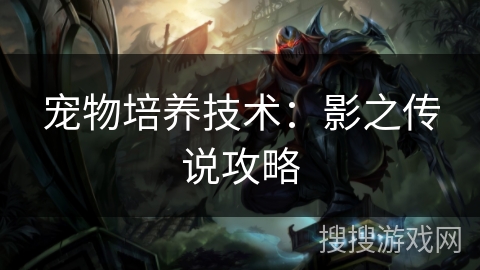 宠物培养技术：影之传说攻略