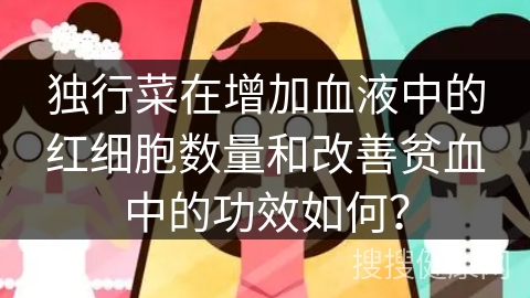 独行菜在增加血液中的红细胞数量和改善贫血中的功效如何？