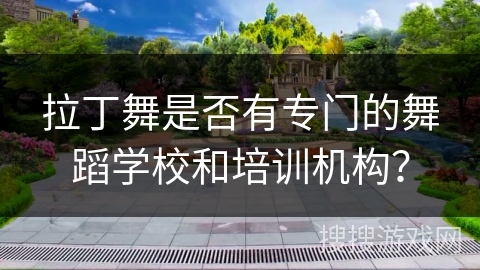 拉丁舞是否有专门的舞蹈学校和培训机构？