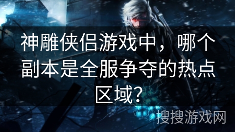 神雕侠侣游戏中，哪个副本是全服争夺的热点区域？