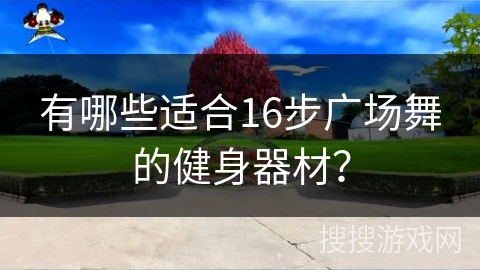 有哪些适合16步广场舞的健身器材？