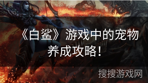 《白鲨》游戏中的宠物养成攻略！