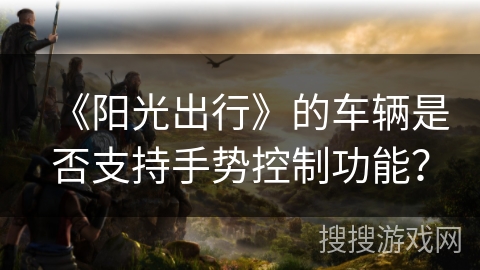 《阳光出行》的车辆是否支持手势控制功能？