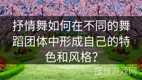抒情舞如何在不同的舞蹈团体中形成自己的特色和风格？