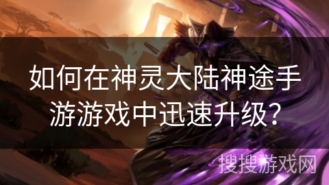 如何在神灵大陆神途手游游戏中迅速升级？
