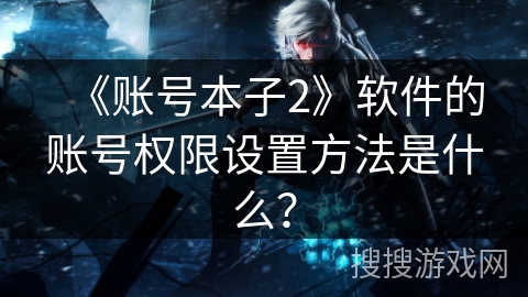 《账号本子2》软件的账号权限设置方法是什么？
