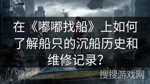 在《嘟嘟找船》上如何了解船只的沉船历史和维修记录? 在《嘟嘟找船》上如何了解船只的沉船历史和维修记录?