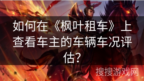 如何在《枫叶租车》上查看车主的车辆车况评估？