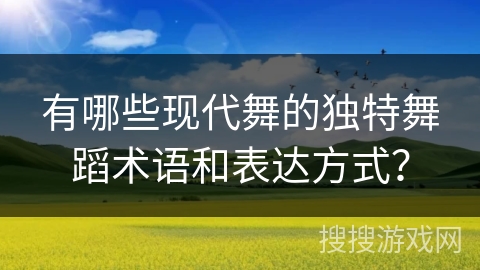 有哪些现代舞的独特舞蹈术语和表达方式？