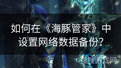 如何在《海豚管家》中设置网络数据备份？