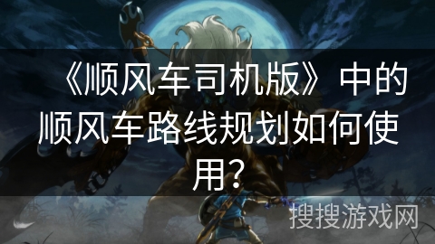 《顺风车司机版》中的顺风车路线规划如何使用？