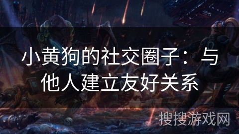 小黄狗的社交圈子：与他人建立友好关系