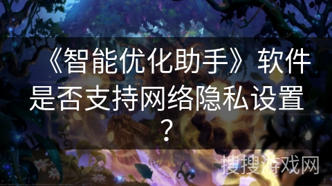 《智能优化助手》软件是否支持网络隐私设置？