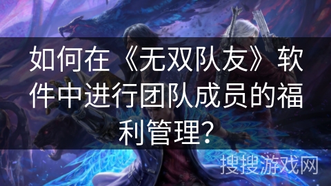 如何在《无双队友》软件中进行团队成员的福利管理？