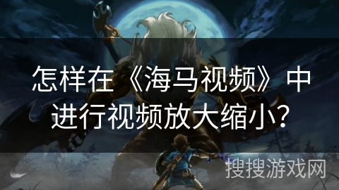 怎样在《海马视频》中进行视频放大缩小？