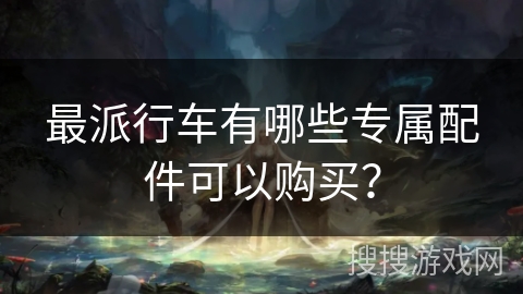 最派行车有哪些专属配件可以购买？