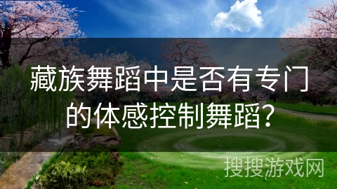 藏族舞蹈中是否有专门的体感控制舞蹈？
