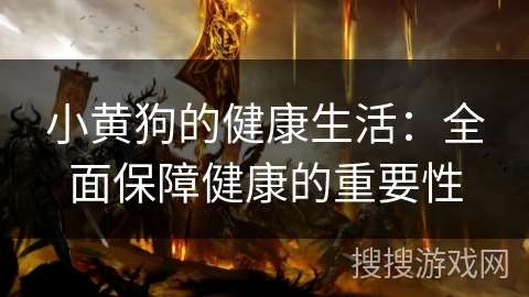 小黄狗的健康生活:全面保障健康的重要性 小黄狗的健康生活:全面保障健康的重要性